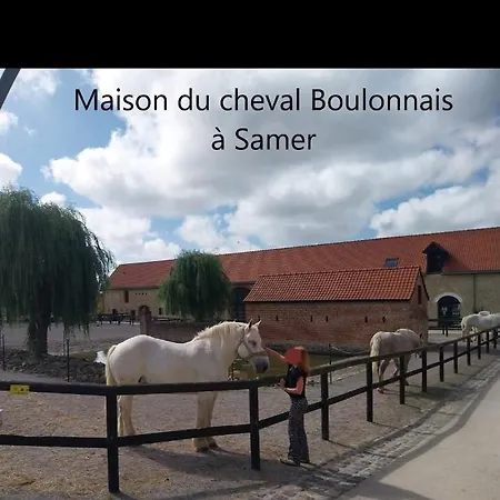 57 M2 Proche Et Nausicaa *