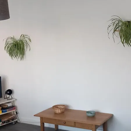 57 M2 Proche Et Nausicaa Appartement